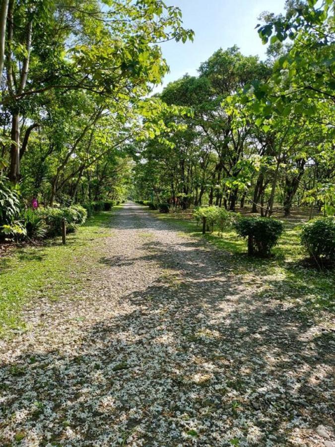 花蓮金澤居民宿樹窩民宿御安居民宿寵物友善 Ji'an Exterior photo